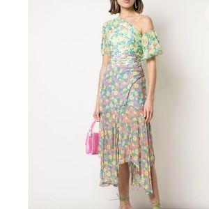 NWT Amur Jaylah Silk Dress